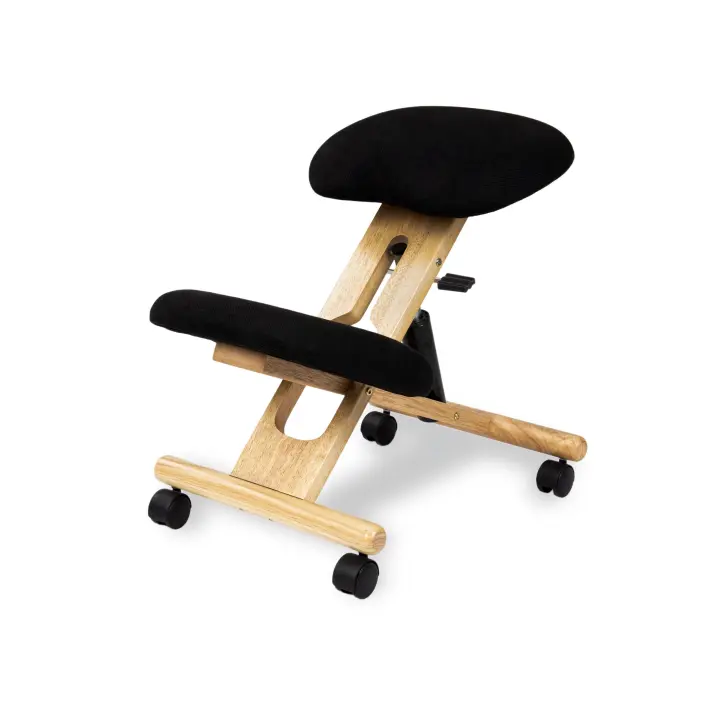 Duehome - Silla ergonómica Ergochair - 1