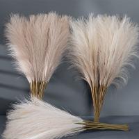5/10Pcs Pampas Artificial Flor Para Decoración De Hogar Boda Y Jardín Arreglo Floral Falso Planta En Vaso Guirnalda Exterior - details 0