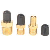 Válvula De Neumático Para Automóvil Y Motocicleta 1/4 NPT 1/8 NPT M10*1 Monitoreo De Presión De Neumáticos Material De Cobre Puro - details 3