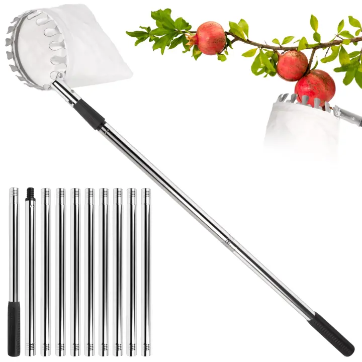 Recolector de Frutas Telescópico de Acero Inoxidable - Poste Ajustable de 4,2 m - Bolsa de Tela y Mango Antideslizante - Herramienta de Jardín para Cosechar Frutas - 1