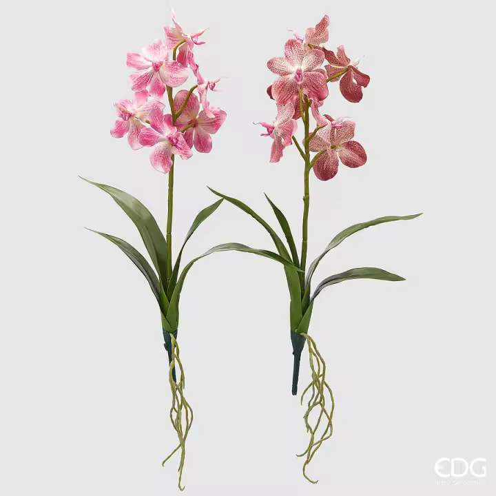 EDG Enzo De Gasperi Arbusto Orquídea Vanda Artificial con Hoja H 70 Cm Culo. Dos tonos de rosa 1 piezas - 1