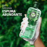 Herbal Essences Champú Purificante Con Aroma A Menta Para Todo Tipo De Cabello. Ayuda A Refrescar, Revitalizar Y Fortalecer. De Origen Natural*. Sin Siliconas. Vegano. 6 Unidades de 350ml - details 0