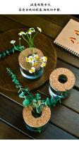 Maceta Creativa Para Plantas Hidroponicas Miniatura En Vidrio Transparente Decorativa Para Casa Y Salon Uso En Mesas - details 6