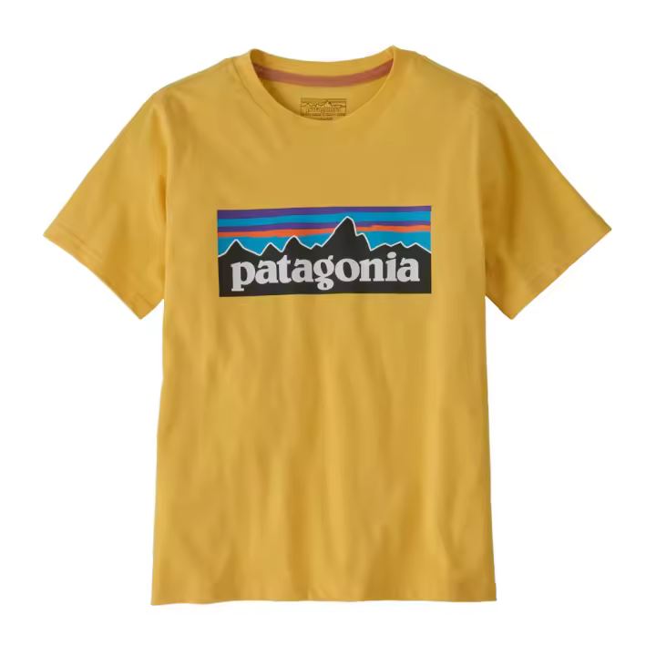 Camiseta Amarilla Patagonia Kids'' P-6 Logo T-Shirt Nectar Yellow - 1