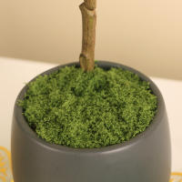 Plantas Artificiales Verdes Alrededor De 20g Poliéster Moqueta Hierba Para Decoración De Hogar Sala De Estar Jardín Mini Paisaje Flores Falsas DIY Artesanía - details 21