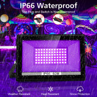 Luz Negra UV 30W/60W Con Enchufe EU/US/UK IP66 Para Escenario Efecto De Luz Ultravioleta Para Halloween Xmas Danza Disco Fiesta - details 9
