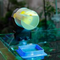Alimentador De Pecera Automático Inteligente Con Capacidad Grande Para Acuarios De Peces Dorados Y Acuarios LCD De Plástico - details 12
