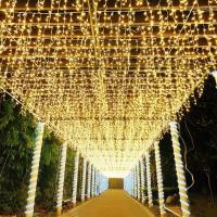Curtain Lights LED Faeiry 4x0.6m Para Decoración De Jardín Y Patio Luz De Calle Exterior Para Fiesta De Navidad Instalación Sencilla - details 2