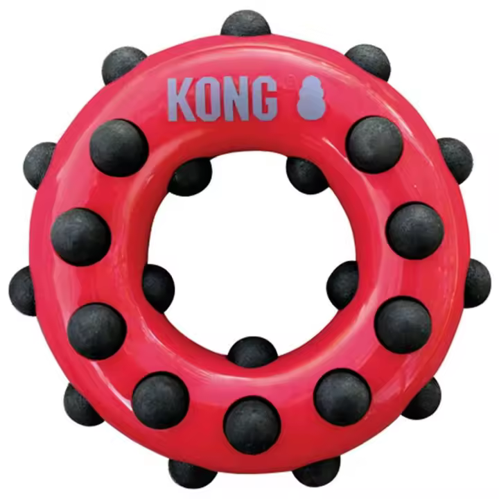 KONG Mordedor Circular Dotz para Perros Talla L - 1