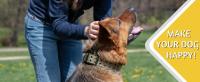 Collar Pesado Para Perros Con Manija Resistente Y Reflejante Para Entrenamiento Caminatas O Caza Adecuado Para Grandes Razas - details 7