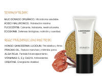 Atashi K-Bioferment | Therapy Cream Skin Booster | Crema Reactivadora Juventud | Revitalizante Antiedad Antiarrugas Multicorrectora | Equilibra el Microbioma | Con Ganoderma Lucidum y Mijo Dorado | 50 ml - details 1
