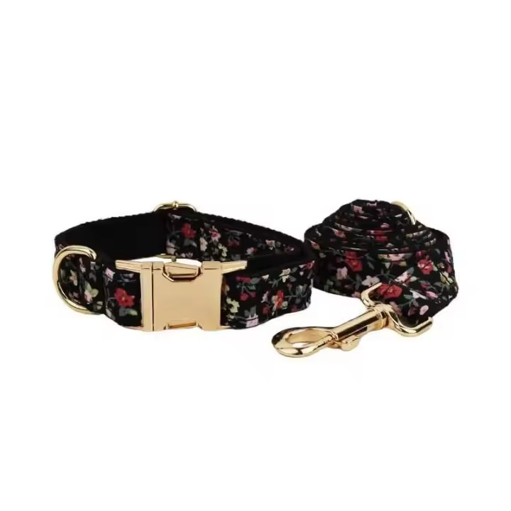 Conjunto Correa Perro, Collar con nombre personalizado Perros Pequeños y medianos, Placa Identificación personalizada, arnés - 1