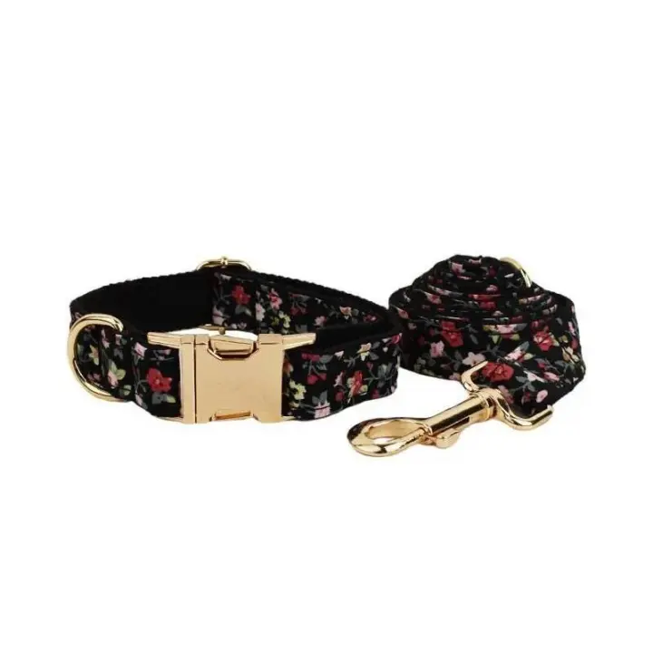 Conjunto Correa Perro, Collar con nombre personalizado Perros Pequeños y medianos, Placa Identificación personalizada, arnés - 1