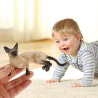 Figura De Gato Realista Ornamento Para Niños Muñeca De Gato Juguete Estatua De Gato Para Decoración De Escritorio - details 3