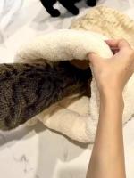 Saco De Descanso Para Gatos Y Perros En Otoño/Invierno Cómodo Y Caliente Semi-Abierto Con Plush Suave Para Viajes - details 10