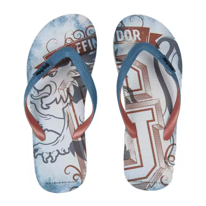 Chanclas Harry Potter Gris Hombre | Estampados en Relieve - 1