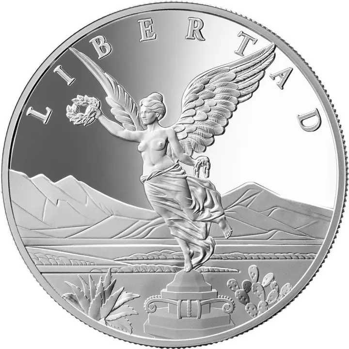 Satoshi Estados Unidos Crypto 2025 LIBERTAD 1 Oz Moneda Plata 1000 - 1