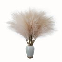 10pcs Falso Pampas De Grama Para Decoración De Hogar Estilo Bohemio Rustico Y Farmhouse Relleno De Vaso Alto Decoración De Piso - details 4