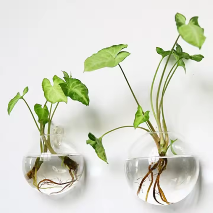 Vaso De Hierro Hidroponía Transparente Para Acuarios Pequeños En Pared Con Plantas Y Peces Juego De Decoración Para El Hogar - 1