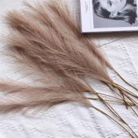 Pack De 10 Pampas Artificiales Imitación De Caña De Paja Para Decoración De Hogar Y Eventos - details 4
