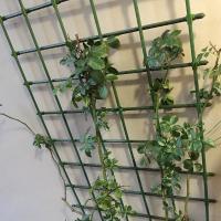 10 PCS Clip Plástico Universal Soporte Para Plantas Conector Fijo De 11 Mm Para Jardinería Y Pergolas Climáticas - details 10