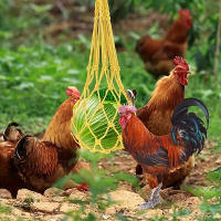 Bolsa De Red Para Alimentos De Pájaros Grande Porta Frutas Y Verduras Para Pollos Galinas Gansos Herramienta De Alimentación Para Pájaros - details 1