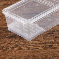 Caja De Cría Para Reptiles Acrílico Transparente 1 Pc Tanque De Tortugas Lagartos Insectos Y Araña Caja De Vitrum Para Mascotas - details 17