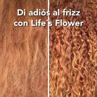Ybera Paris Tratamiento profesional Antifrizz Life´s Flower Super Hidratación - details 0