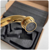 Grifo De Baño De Cobre Antiguo Con Mangue De Craneo Mezclador De Agua Caliente Y Fría Torneira Contemporánea 855971 Montaje En Superficie - details 14