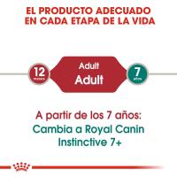 Royal Canin Gato Húmedo Instinctive In Jelly (Gelatina) 12X85g - details 3