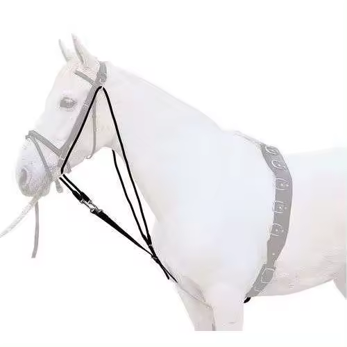 Gogue Lexhis para el Cuidado del Caballo - 1