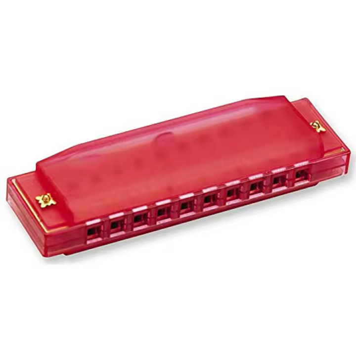 Harmonica Diatónica De 10 Agujeros En Clave De C Para Niños Con Estuche Plástico Regalo De Cumpleaños Para Pequeños - 1