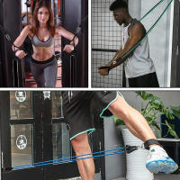 Bandas de ejercicio, Bandas de entrenamiento con ASAS para mujeres, Equipo de entrenamiento de fuerza en el hogar - details 5