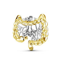Broche De Anatomía Intestinal Hanreshe Para Médicos Y Enfermeras Regalo De Colección De Joyería Metal Unisex - details 0