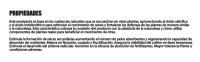 GREEN GOF Enraizante Líquido Orgánico con Hormonas Naturales, 5L. Estimula y Aumenta el Crecimiento de Las raíces de Cualquier Planta. Recomendado para Esquejes, Árboles, Plantas y Transplantes. - details 4