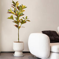 Planta Artificial De Tamaño Grande Codiaeum Falso 80-120cm Ficus Fiddle Hojas De Plantas Tropicales Para Decoración Del Hogar Material De Seda Origen China - details 2