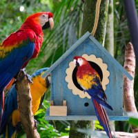Casa De Pájaros De Madera Con Alimentador Decorativa Para Exteriores Nido Colgante Para Pájaros Caja De Cría De Pájaros Accesorios Para Pájaros - details 2