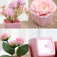 Set De 3 Plantas Miniatura En Macetas Simuladas Para Decoración De Hogares Restaurante Mesas Ventanas Y Estantes Material Plástico Estilo Bonsái - details 1