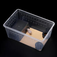 Caja De Cría Para Reptiles Acrílico Transparente 1 Pc Tanque De Tortugas Lagartos Insectos Y Araña Caja De Vitrum Para Mascotas - details 5
