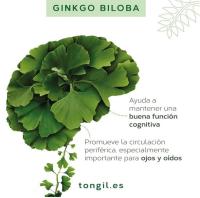 Tongil PACK 2 - GINKGO BILOBA Extracto Estandarizado y Máxima Concentración  24% de Flavonoides y 6% de Terpenos  Memoria y Concentración + Circulación - details 3