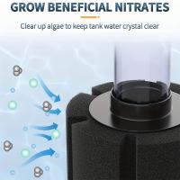 Filtro De Esponja Biológica Para Acuario Bomba De Agua Tanque De Peces Piscina Accesorios De Filtración De Espuma Bioquímica Escáner - details 3