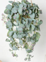 Eucalipto Rattan Plantas Artificiales Vine Hoja Verde Seda Ivy Colgante Para Decoración De Hogar Boda Fiesta En La Pared - details 3