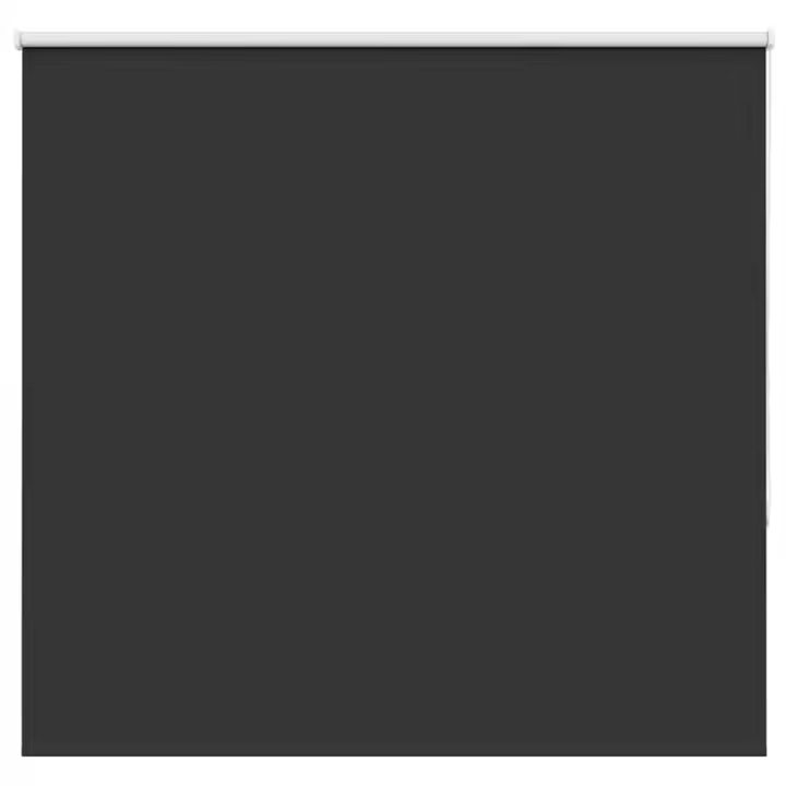 vidaXL Estor Enrollable Opaco negro 160x150 cm Tela Ancho 156,6 cm - 1