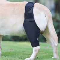 Protector De Rodilla Para Perros Mallas De Apoyo Ajustable Para Recuperación De Lesiones Articulares Y Post-Operación Accesorio Para Mascotas - details 4