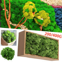 Decorativo De Moss Preservado Ligero Arte Artificial De Moss Verde Eterno Para Decoración De Paredes En Casa Y Fiestas - details 0