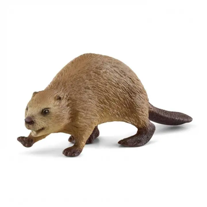 Figura Schleich Wild Life Castor de Madera - Detalles Realistas - Ideal para Jugar - 1