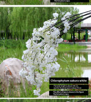 Vine De Cerezo Artificial De 140CM En Seda Para Decoración De Hogar Boda Jardín Fiesta Tienda Navidad Lujo Flor Falsa De Cerezo - details 2