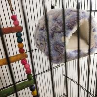 Cama Suave De Invierno Para Hamster Nido Pequeño Para Surtido Guisante Casa De Conejo Rodente Erizo Cama De Algodón Para Animales De Compañía - details 12