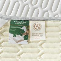 Juego De Sábanas Con Fundas Para Almohadas Cooling Ice Silk Y Látex Tejido Quilted Transpirable Para Verano Resistente Al Calor Materiales Sólidos De Poliéster 200TC - details 38
