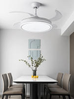 Cecodadi-Ventilador de Techo con Motor DC con Aspas Desplegables y Luz Led 96 W - Ahorro de Energía y Modo Invierno - details 1